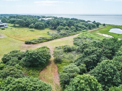 7 Sand Plain Way, Edgartown, MA 02539 - photo 5