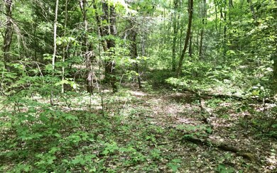 Additional View