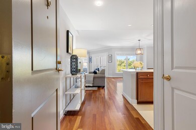 Residences at Park Place unit 532, Annapolis, MD 21401 - photo 2