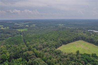 0 W Hendricks St, Bowman, GA 30624 - photo 6