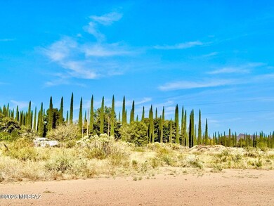 TBD International Ave 4 24 Acres, Douglas, AZ 85607 - photo 6