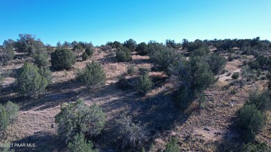 30863 W Basconia Rd, Seligman, AZ 86337 - photo 3