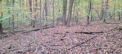 TBD Pine Ridge Rd, Morgantown, WV 26508 - photo 3