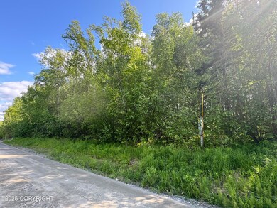 3597 S Dawn Lake Dr, Wasilla, AK 99654 - photo 2