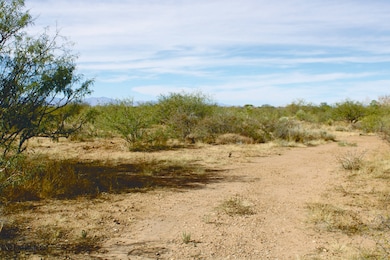 10 Acres E Roadrunner Lot D Ln unit D, Pearce, AZ 85625 - photo 6