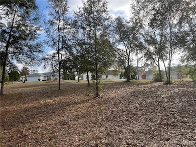 view from the back of the property to Drake Ave