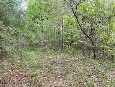 7 Crest Line Dr, Upatoi, GA 31829 - photo 6