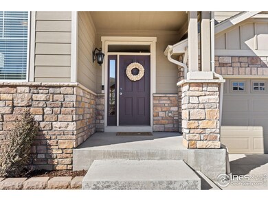 5871 Banner St, Timnath, CO 80547 - photo 3