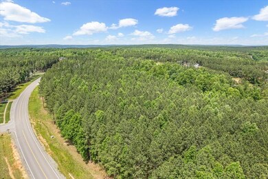 05-DJI_0924
