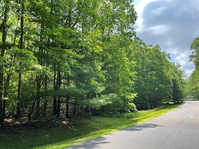 0 Saddle Brook Ln, Daniels, WV 25832 - photo 3