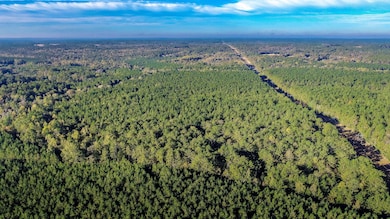28 Acres Porter Hudson Rd, Sumrall, MS 39482 - photo 3