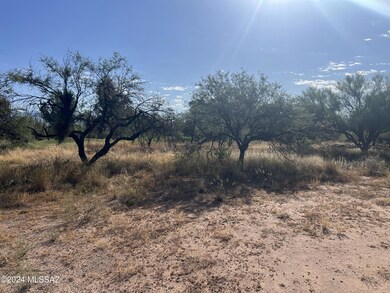 Mature Trees