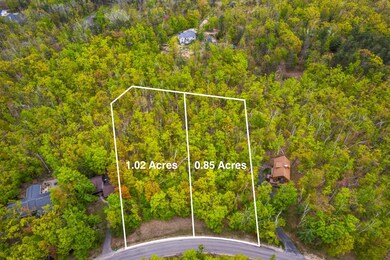 L1596&1597 Pheasant Run, Otsego Lake Township, MI 49735 - photo 5