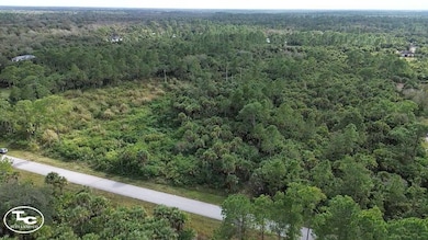 0 30th Ave SE unit 11613710, Naples, FL 34117 - photo 2