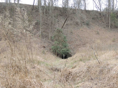 0 Lister Rd, Greer, SC 29651 - photo 3