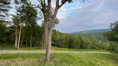 000 Us Highway 421, Purlear, NC 28665 - photo 4