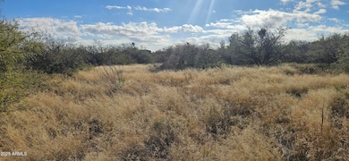 TBD S Stephanie Place, Hereford, AZ 85615 - photo 4