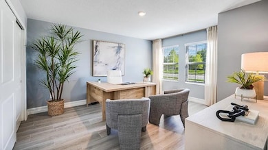 28407 Grassland Ranch Ln, Wesley Chapel, FL 33543 - photo 6