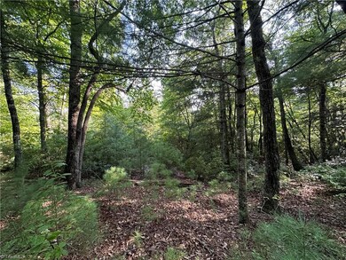 Potential views to S beyond trees