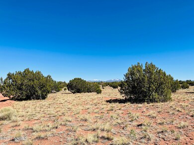 6868 Lasso Loop Photo 6