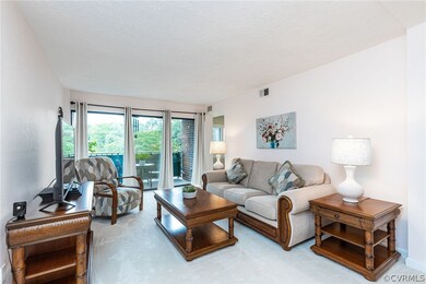 1505 Largo Rd unit 204, Henrico, VA 23238 - photo 2