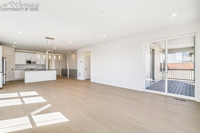 4371 Soapberry Place, Castle Rock, CO 80108 - photo 6