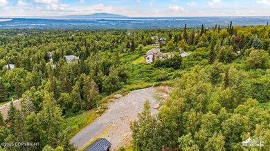 12801 Midori Dr, Anchorage, AK 99516 - photo 3