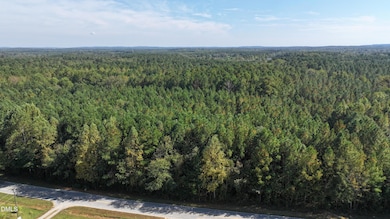 0 Pete Thomas Rd, Hadley, NC 27312 - photo 3