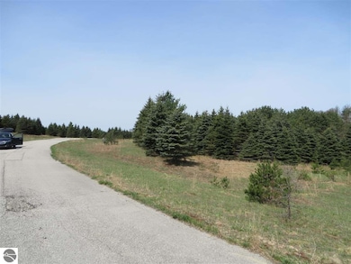 1 Spruce Hollow Trace, Fife Lake, MI 49633 - photo 3