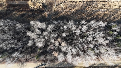 Parcel A Parameter Rd, Deer River, MN 56636 - photo 6