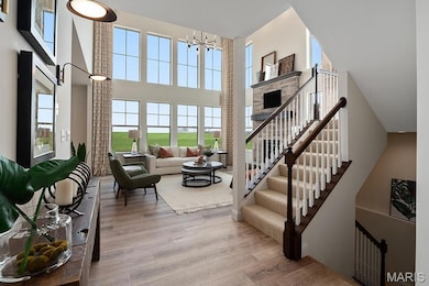 Example Picture of the Forest, some features shown may be optional upgrades