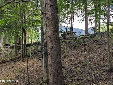 745 Hunters Run Rd, Townsend, TN 37882 - photo 5