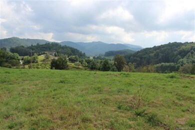 0 Sam's Cir unit 3132048, Burnsville, NC 28714 - photo 6