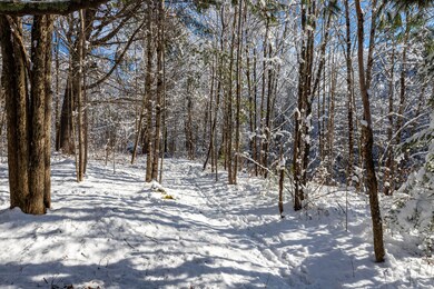 IMG_9329