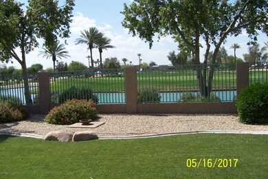 Backyard 1