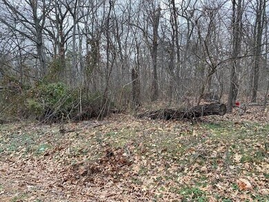 0 Billingsley Dr, Bella Vista, AR 72715 - photo 2