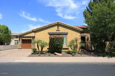 Front View
