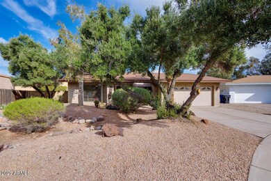 Desert Frontage