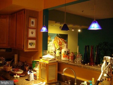 12225 Fairfield House Dr unit 107C, Fairfax, VA 22033 - photo 4