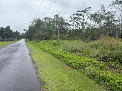 0 Awa St unit 725782, Hawaiian Beaches, HI 96778 - photo 6