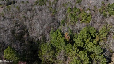 DJI_20240218150713_0042_D