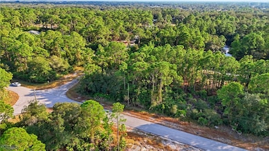 2430 Mabry St, Lehigh Acres, FL 33920 - photo 3