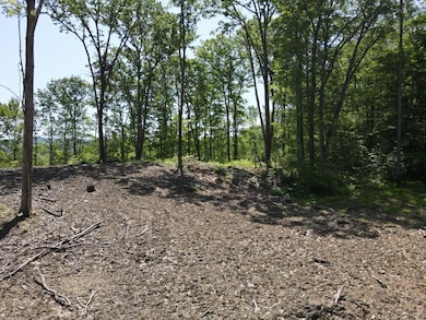 0 Denio Rd, Barnet, VT 05819 - photo 2