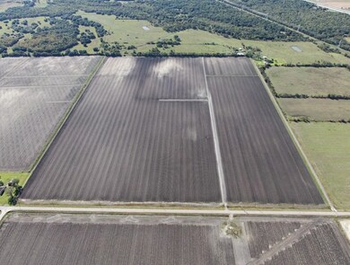 1010 County Road 23, Damon, TX 77430 - photo 7