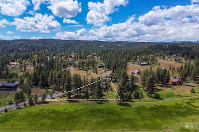 Bird's eye view of a heavily wooded area