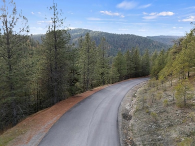 XXXX E View Ridge Ln, Spokane, WA 99206 - photo 2