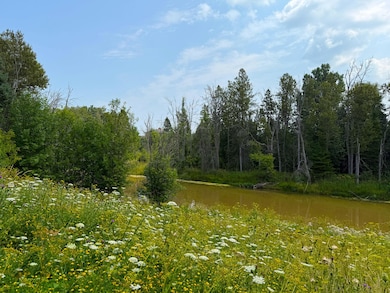 20257 S Libby Rd, Pickford, MI 49774 - photo 3