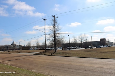 8568 Goodman Rd, Olive Branch, MS 38654 - photo 4