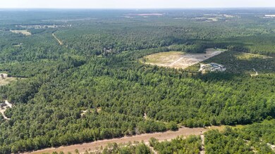 2576 Jessie James Pond Rd, Wrens, GA 30818 - photo 7