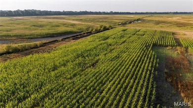 0 Highway P unit MIS25062383, New Madrid, MO 63869 - photo 5